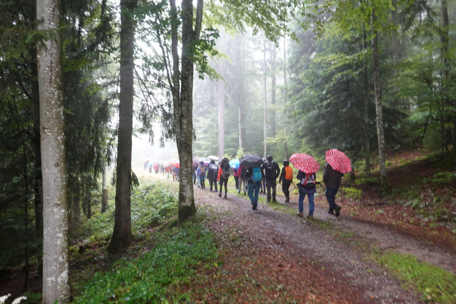 Im Gänsemarsch: Gut gekleidet marschierten die 46 wasserfesten Wallfahrer bei strömenden Regen und dichtem Nebel durch den Wald vom Steinernen Kreuz nach Todtmoos zu.